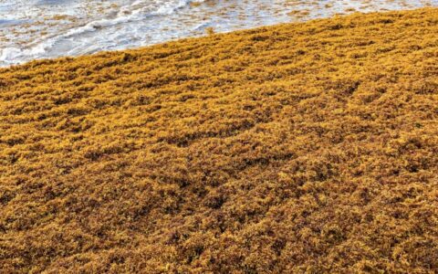 Winston chen W08m Al thr8 unsplash