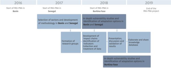 Diagram of the PAS PNA project general timeline