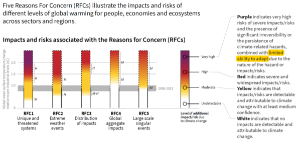Impacts and risks associated with the Reasons for Concern
