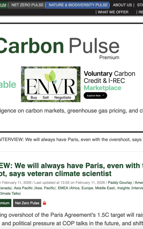 We will always have Paris, even with the overshoot, says veteran climate scientist