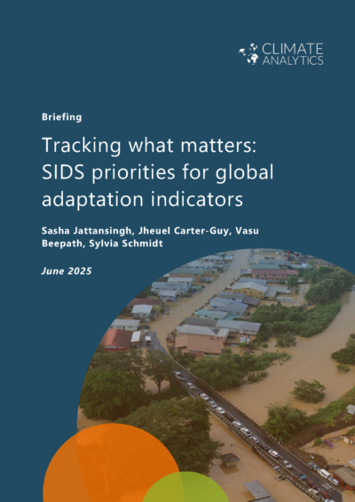 Tracking what matters: SIDS priorities for global adaptation indicators