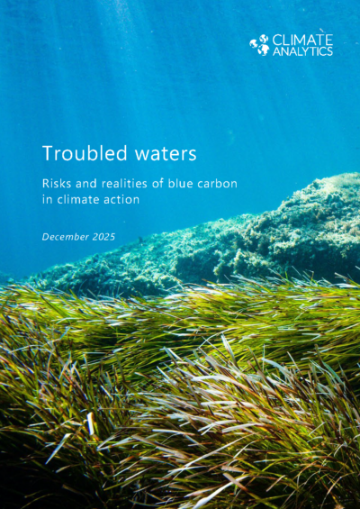 Troubled waters: risks and realities of blue carbon in climate action