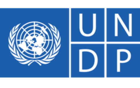 United Nations Development Programme (UNDP)